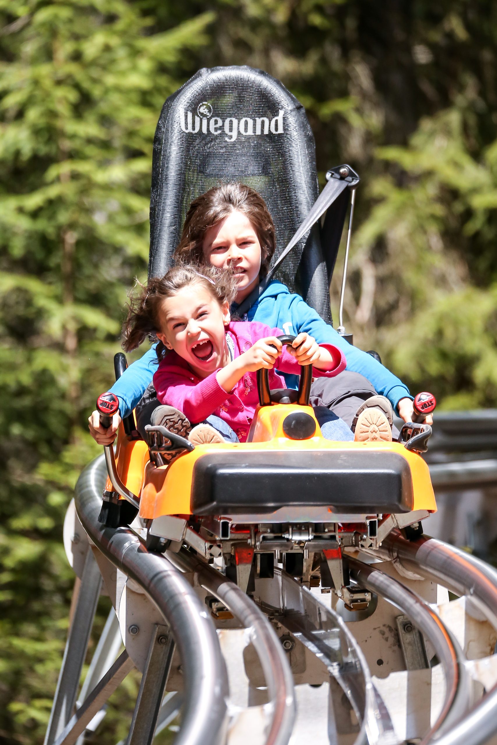 Luge sur rail 4 saisons – Les Carroz à Arâches-la-Frasse
