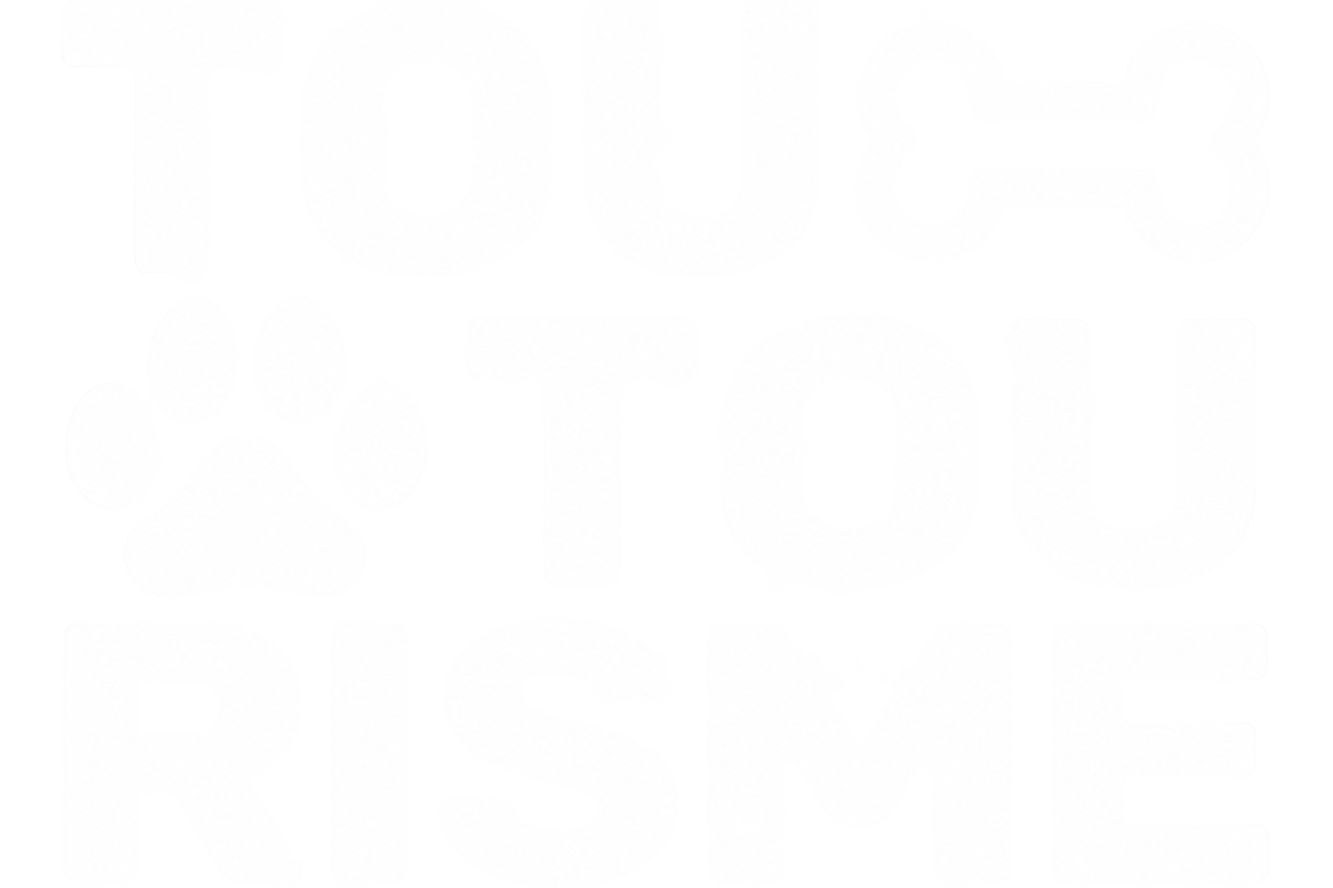 Accueil