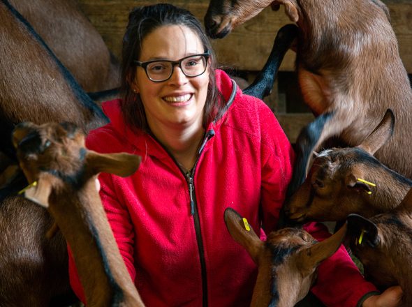 Chèvres chamoisées, Le Reposoir, ferme, fromage de chèvre