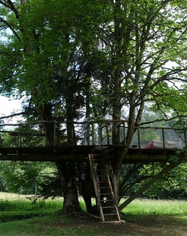 Logement dans un arbre. Base ronde en bois et bulle pour l'espace de nuit