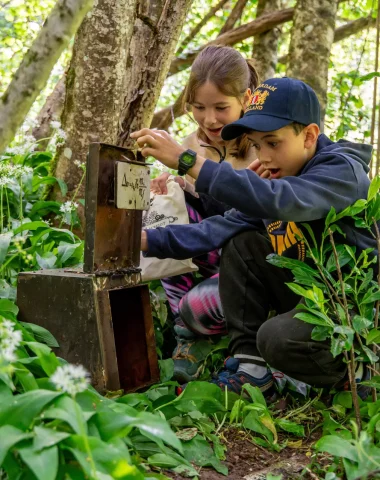 Enfants qui s'émerveillent devant un coffre et son énigme