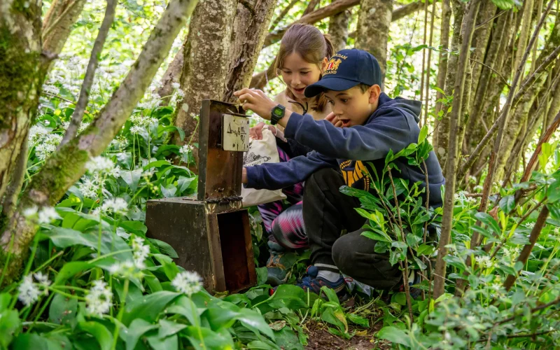 Enfants qui s'émerveillent devant un coffre et son énigme