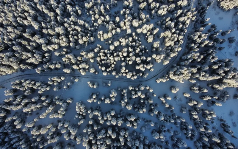 Tourisme d’affaires