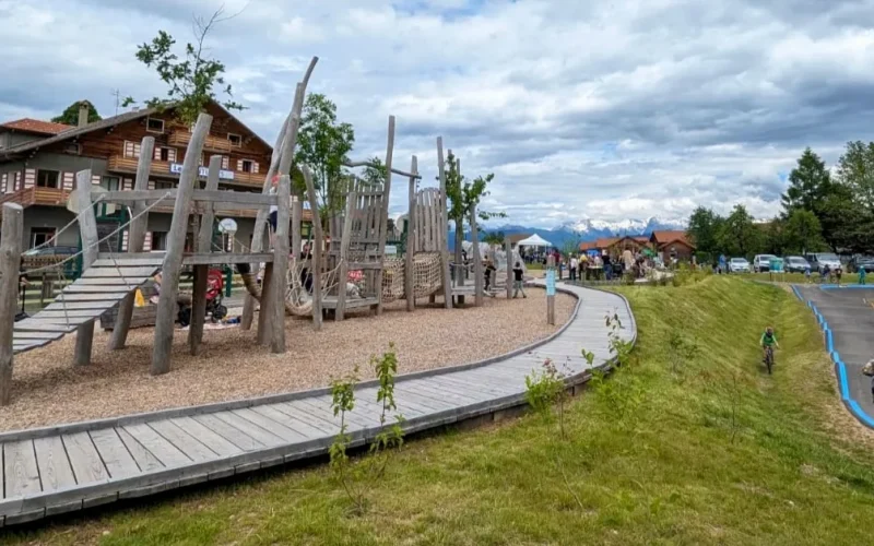 Bearded Vulture Area