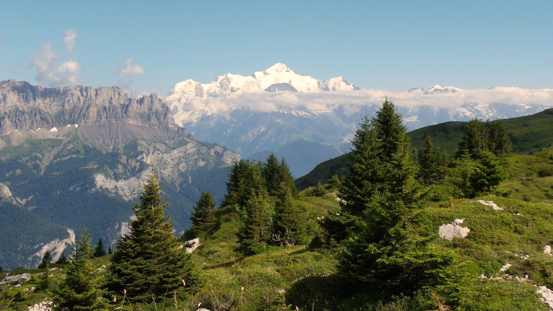 Alpage de Vormy Col de Romme Nancy-sur-Cluses agriculture Mont-Blanc Haute-Savoie