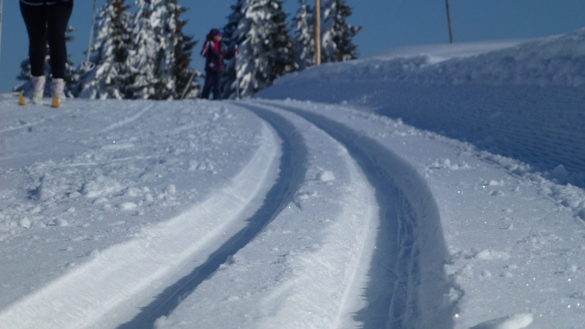 Ski de fond sur la plateau d'Agy Saint-Sigismond Haute-Savoie Nordic ski nordique