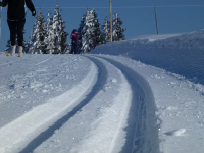 Ski de fond sur la plateau d’Agy