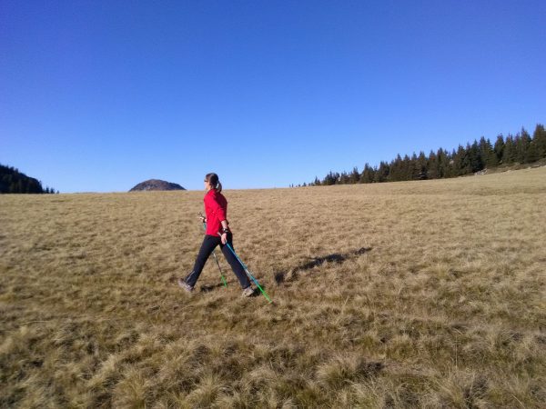 Ontdekking van nordic walking