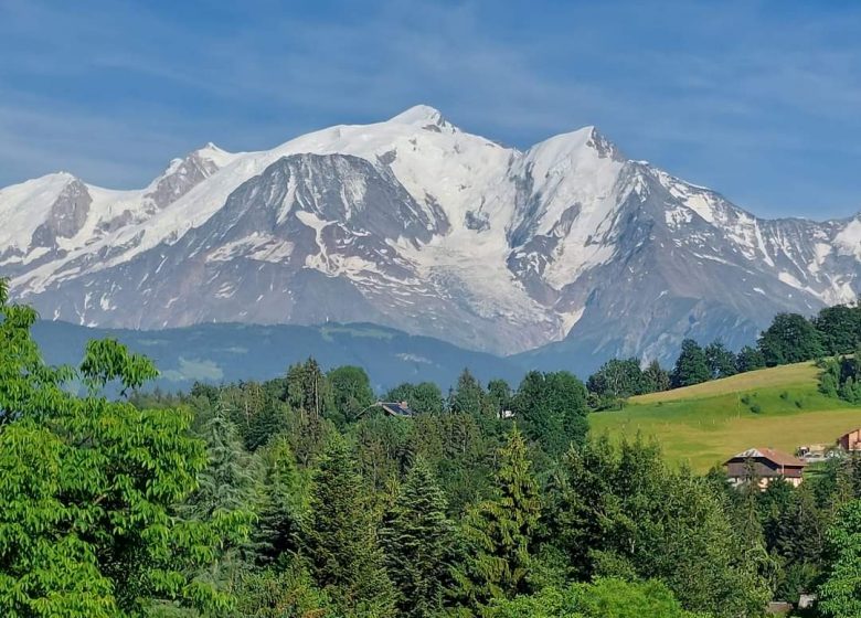 Veduta del Monte Bianco