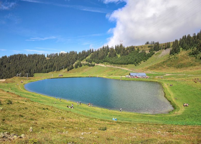 Mountain pastures and Airon lake by cable car
